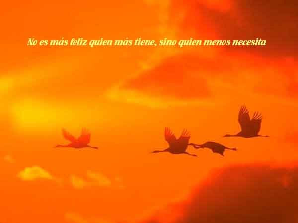 20051016150907-libre.jpg