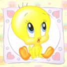 20060507150400-titi.jpg