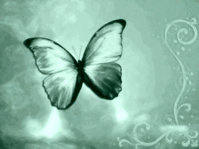 20060906140855-butterly.jpg