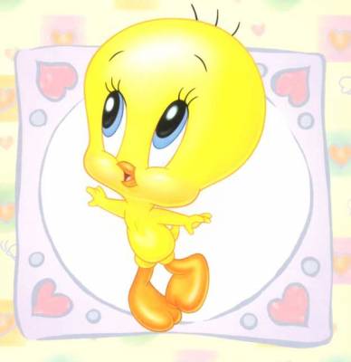 BB_titi.jpg