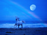 caballo.jpg